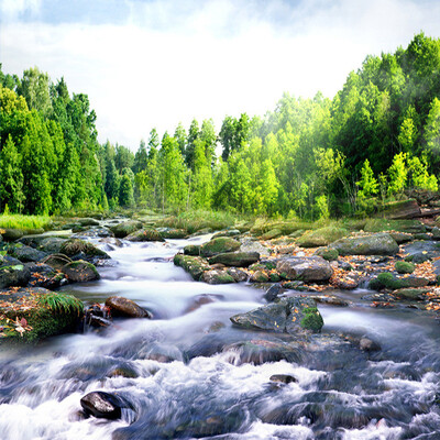 3D Wall Mural Nature Landscape Custom Photo Wallpaper Suburban Forest Stream Living Room Background Wall Decorative Wall Papers
3D Wall Mural Nature Landscape Custom Photo Wallpaper Suburban Forest Stream Living Room Background Wall Decorative Wall Papers
