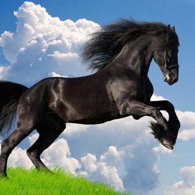 Custom 3D Nature Scenery Blue Sky White Clouds Black Horse Mural Обои Гостиная Диван ТВ Фон Обои Wall Decor
Custom 3D Nature Scenery Blue Sky White Clouds Black Horse Mural Обои Гостиная Диван ТВ Фон Обои Wall Decor