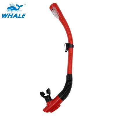 Whale professional scuba diving equipment breathing tube Premium Ultra Flexible Free diving Swimming Diving Breathing Tube 
Whale professional scuba diving equipment breathing tube Premium Ultra Flexible Free diving Swimming Diving Breathing Tube