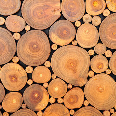 Custom Mural Wallpaper 3D Non-woven Wood Grain Growth Rings European Retro Wall Decorations Living Room Bed Room Wallpaper 3D
Custom Mural Wallpaper 3D Non-woven Wood Grain Growth Rings European Retro Wall Decorations Living Room Bed Room Wallpaper 3D
