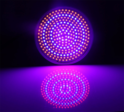 260LED Grow Light E26E27 Round LED Full Spectrum Plant Growing Light Bulb for Hydroponic House Plant&Indoor Gardens Replicate
260LED Grow Light E26E27 Round LED Full Spectrum Plant Growing Light Bulb for Hydroponic House Plant&Indoor Gardens Replicate