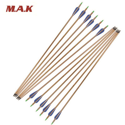 12 pcs 80cm Spine 500 Gold Aluminum Arrows Diameter 78mm with Plastic Feathers Relaceable Steel Tip for Compound Recurve Bow
12 pcs 80cm Spine 500 Gold Aluminum Arrows Diameter 78mm with Plastic Feathers Relaceable Steel Tip for Compound Recurve Bow