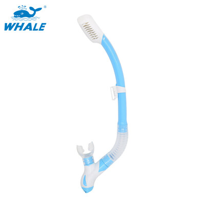 Whale Dry Snorkel with Comfortable Silicone Mouthpiece&Purge Valve for Snorkeling&Scuba Diving
Whale Dry Snorkel with Comfortable Silicone Mouthpiece&Purge Valve for Snorkeling&Scuba Diving