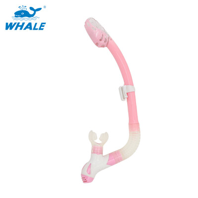Whale Brand professional scuba diving equipment breathing tube with 6 colors snorkel with high quality
Whale Brand professional scuba diving equipment breathing tube with 6 colors snorkel with high quality