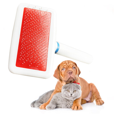 HANHANLEYUAN pet dog comb cat comb dog brush dog hair comb jinmaotaidi large dog than bear supplies dog comb comb supplies
HANHANLEYUAN pet dog comb cat comb dog brush dog hair comb jinmaotaidi large dog than bear supplies dog comb comb supplies