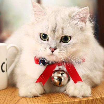 Huayuan pets hoopet dog bell collar small dog cat Teddy cat necklace than bear neck collar pet jewelry
Huayuan pets hoopet dog bell collar small dog cat Teddy cat necklace than bear neck collar pet jewelry