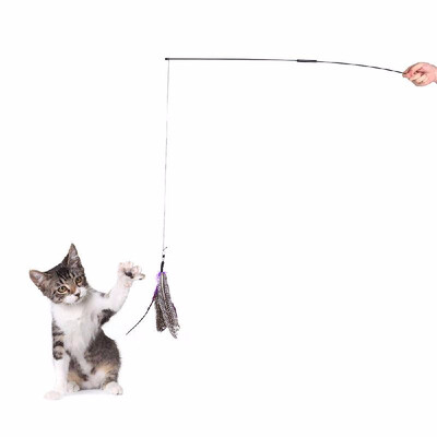 Interactive Detachable Pet Cat Feather Teaser Wand Stick 2 Section Exercising Fun Playing Toy with 1 Feather Refill
Interactive Detachable Pet Cat Feather Teaser Wand Stick 2 Section Exercising Fun Playing Toy with 1 Feather Refill