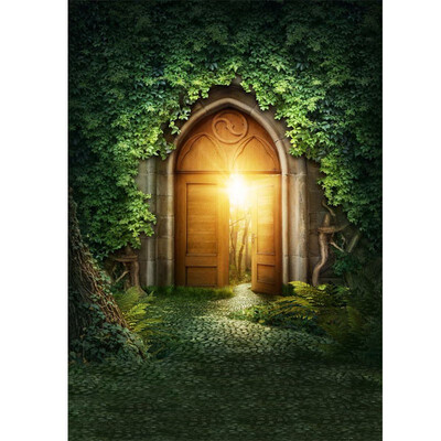 Golden Door Photo Backdrop 57FT Vinyl Fabric Cloth Digital Printing Photo Background s-676
Golden Door Photo Backdrop 57FT Vinyl Fabric Cloth Digital Printing Photo Background s-676
