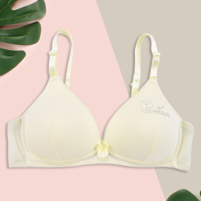 Alice & Aurora Girls Bra High School Students No Steel Ring Underwear Cotton Girls Bra X6022 Yellow 85A
Alice & Aurora Girls Bra High School Students No Steel Ring Underwear Cotton Girls Bra X6022 Yellow 85A