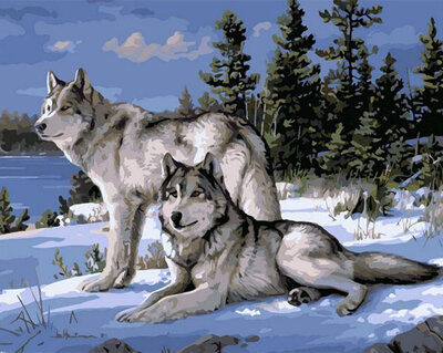 Diy Animals Oil Painting Paint by Numbers Kit on Canvas for Adults Beginners - Snow Wolfpaint by number wolf
Diy Animals Oil Painting Paint by Numbers Kit on Canvas for Adults Beginners - Snow Wolfpaint by number wolf