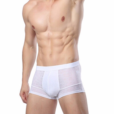 Mens Bamboo Fiber Boxer Underwear Comfortable Breathable Sexy Perspective Mens Underwear
Mens Bamboo Fiber Boxer Underwear Comfortable Breathable Sexy Perspective Mens Underwear