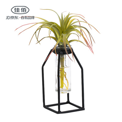 Jiayi wrought iron test tube vase Nordic style metal decoration green radish hydroponic plant vase side length 65cm height 13cm square bottom type small
Jiayi wrought iron test tube vase Nordic style metal decoration green radish hydroponic plant vase side length 65cm height 13cm square bottom type small
