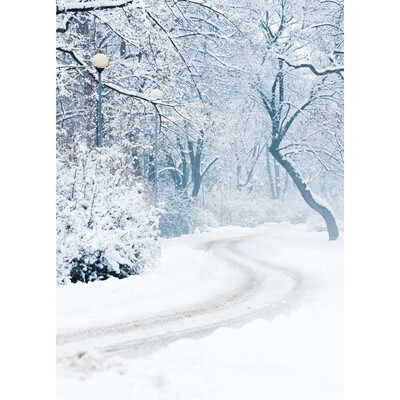 Xmas Heavy Snow Photo Backdrop 57FT Vinyl Fabric Cloth Digital Printing Photo Background st-529
Xmas Heavy Snow Photo Backdrop 57FT Vinyl Fabric Cloth Digital Printing Photo Background st-529