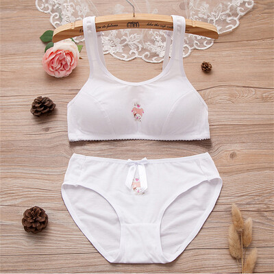 LAXJOY Langyue 2018 sexy small chest tube top girl bra cotton comfortable no steel ring student underwear panty suit anti-light LNWX189407 white X2 3270
LAXJOY Langyue 2018 sexy small chest tube top girl bra cotton comfortable no steel ring student underwear panty suit anti-light LNWX189407 white X2 3270