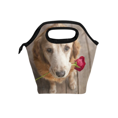 Insulated Lunch Tote Bag Rose Dog Travel Picnic Lunch Handbags Portable Zipper Lunch Bag Box
Insulated Lunch Tote Bag Rose Dog Travel Picnic Lunch Handbags Portable Zipper Lunch Bag Box