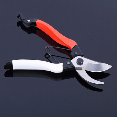 Outdoor Professional Pruning Shears Tree Trimmers Secateurs Hand Pruner Garden Shears
Outdoor Professional Pruning Shears Tree Trimmers Secateurs Hand Pruner Garden Shears
