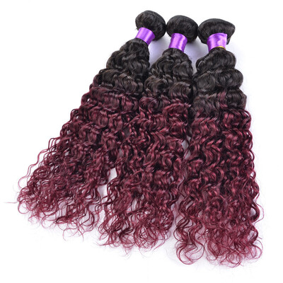 Malaysian Kinky Curly Virgin Hair 2 Bundles Xuchang Loving Hair Malaysian Curly Hair Tissage Malaysian Ombre Curly Human Hair
Malaysian Kinky Curly Virgin Hair 2 Bundles Xuchang Loving Hair Malaysian Curly Hair Tissage Malaysian Ombre Curly Human Hair