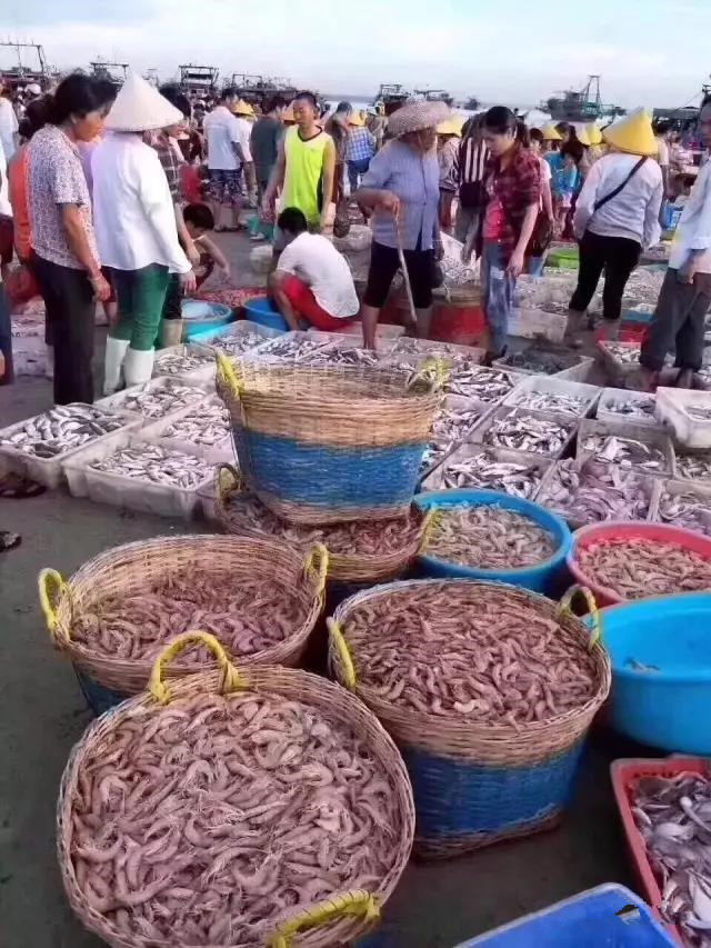 资料图:广西北海渔港大量海鲜上市.翟李强 摄