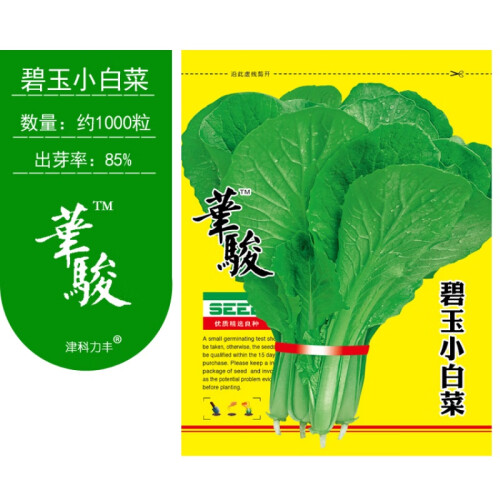 蔬菜种子四季播种农家田园菜籽阳台盆栽蔬菜小白菜青菜薄荷生菜香菜辣椒黄瓜西红柿春秋种蔬菜籽 碧玉小白菜约1000粒