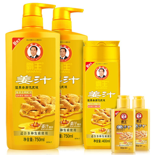 京东超市霸王生姜洗发水套装（姜汁温养去屑洗发液750ml*2+400ml送80ml*2）温和去屑控油洗发露