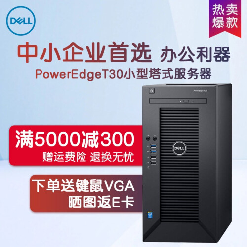 戴尔（DELL）T30小型塔式服务器主机 台式电脑整机箱 支持WIN7 酷睿双核I3-6100 3.7GHz 4G内存/1*1T硬盘