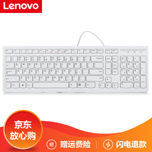 联想（Lenovo） 原装键盘适用笔记本台式机一体机商务办公家用娱乐轻薄便携 K5819超薄有线键盘白 电脑键盘