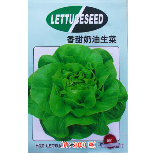 花先知 蔬菜种子 大叶菠菜 香菜 朝天椒 大甜椒 奶油生菜 红心萝卜小青菜 种子 彩色包装 正规厂家 奶油生菜种子 1 包（原厂包装）