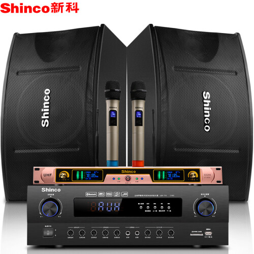 新科 (Shinco) OK960 家庭影院KTV音响套装 家用会议演出蓝牙功放音箱组合（10英寸）