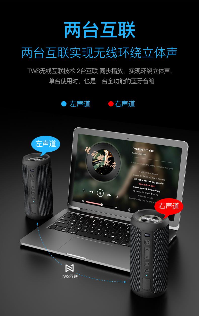 雷登蓝牙音响x10双喇叭环绕大功率音量超重低音炮手机网红无线户外