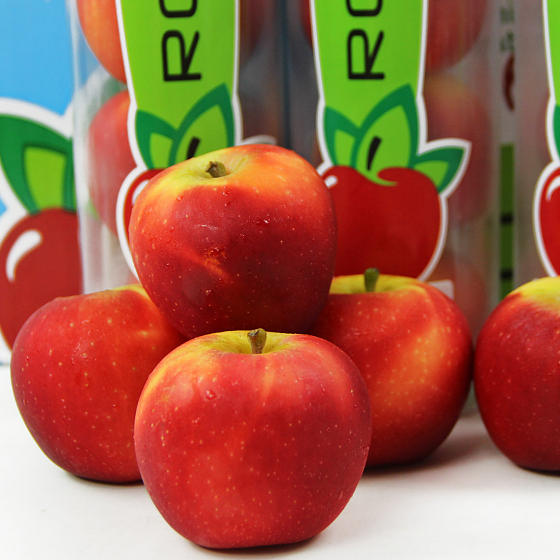 春光岛现货法国rockit火箭苹果新西兰小苹果2管进口苹果10个乐淇苹果