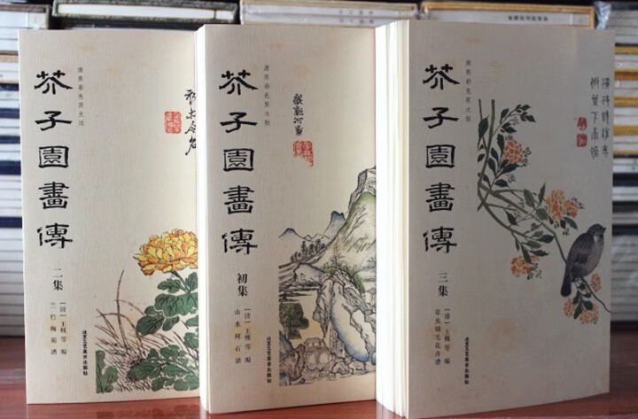 康熙原大版 芥子园画传 彩版全三本 芥子园画谱康熙原版 清王概 山水