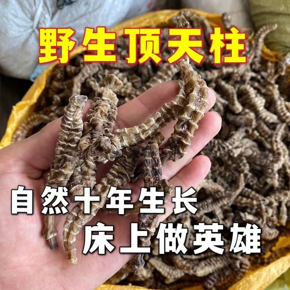 同仁堂有仁堂顶天柱中药材阳鞭草野生中草药泡酒料云南苗药腾冲特产