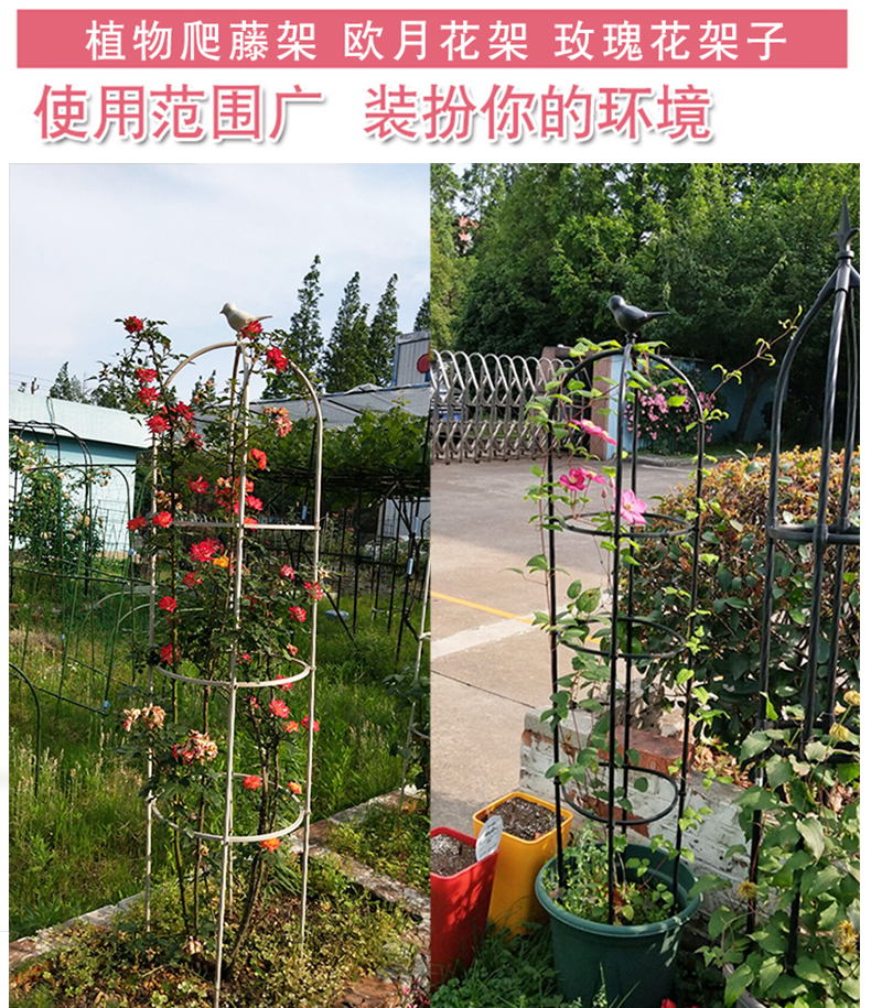 沃绣攀爬架爬藤架月季花支架花盆支架玫瑰花架爬藤支架爬藤花架 黑色