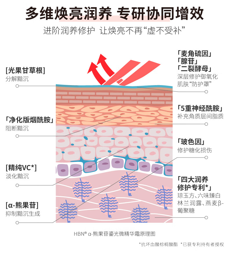 HBNα-熊果苷鎏光乳发光微精华乳液清爽保湿补水提亮肤色护肤品 鎏光水乳套装 鎏光系列