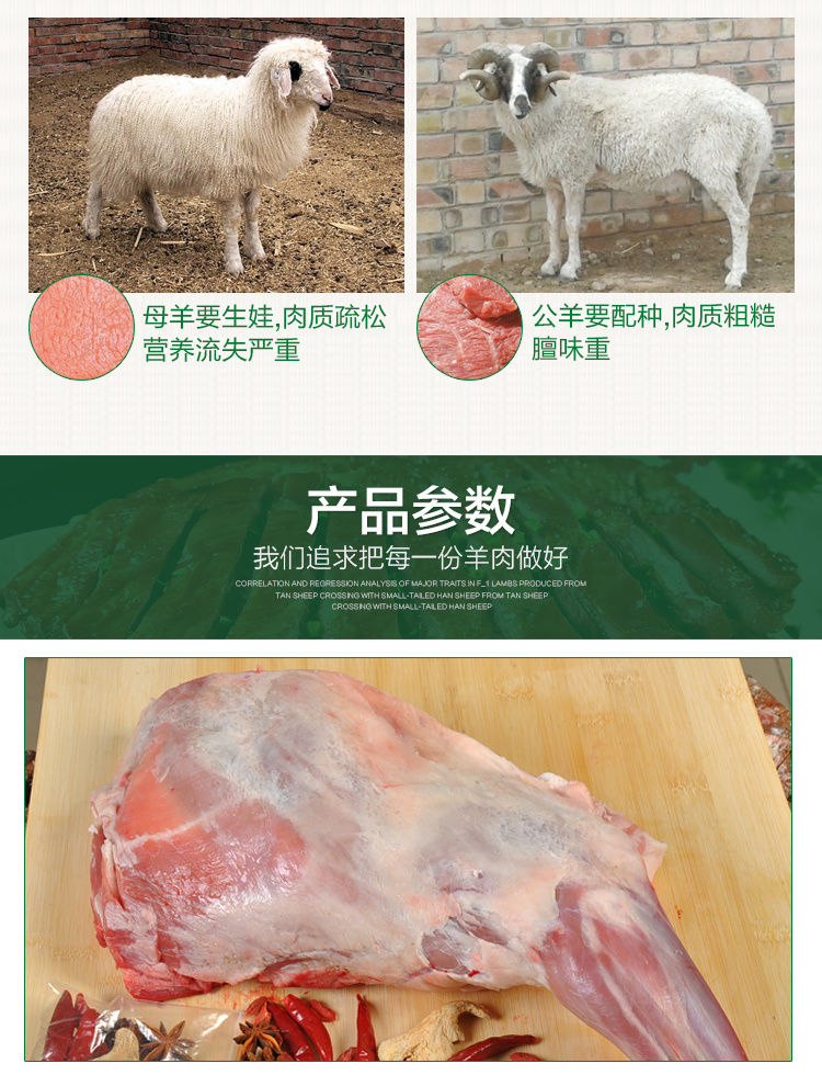 宁夏盐池滩羊肉新鲜羊尾巴油烧烤食材新鲜羊肉清真羊排羊肉串3斤羊尾