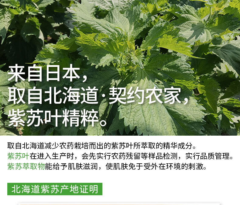 悠斯晶（yuskin）紫苏精华面霜110g 补水滋润面霜乳液 晒后修复 温和护肤敏感肌 所有肤质 110g/ml