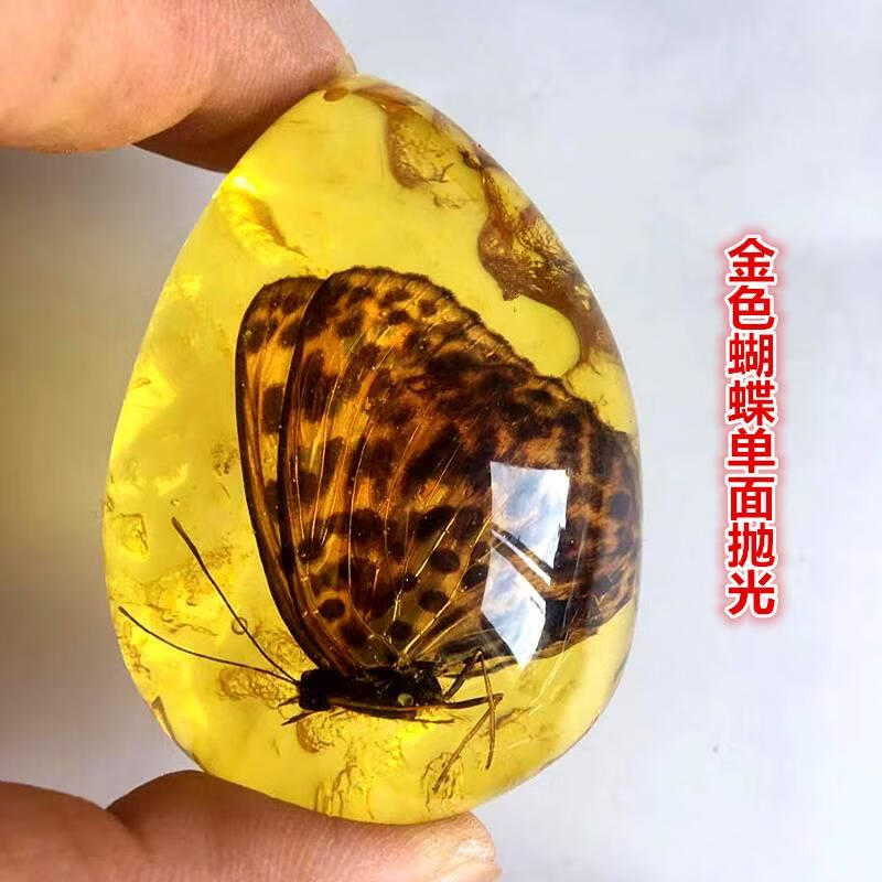 宾昔琥珀昆虫标本真昆虫标本人工虫珀蝎子蝴蝶蜘蛛吊坠项链学生钥金色