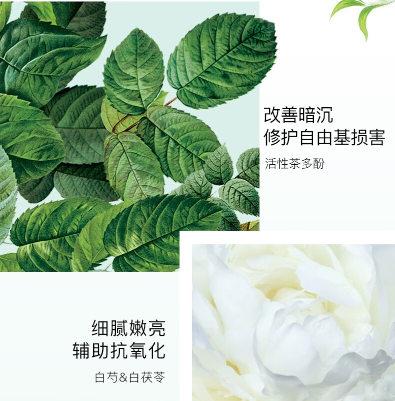 佰草集（HERBORIST） 白茶玲珑系列护肤品套装组合百草集补水保湿控油嫩肤提化妆品女 3件套【白茶洁面+水+乳】
