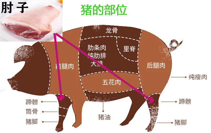 正宗太康肘子卤肉熟食酱肘子猪肘五香卤味肘子肉东坡肘子猪肉脯 五香