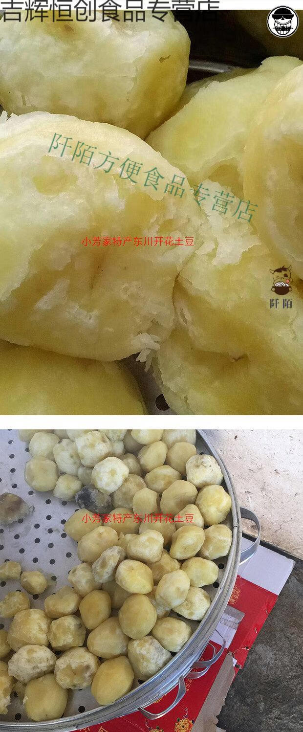 东川三宝开花洋芋云南特产李子沟开花土豆马铃薯粉糯香103斤10斤开花