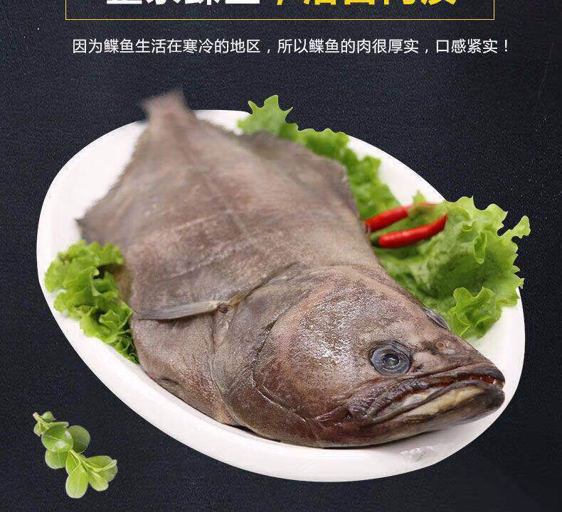 鲽鱼新鲜鸦片鱼身格陵兰大比目鱼冷冻新鲜整条深海鲽鱼身辅食鲽鱼 5斤