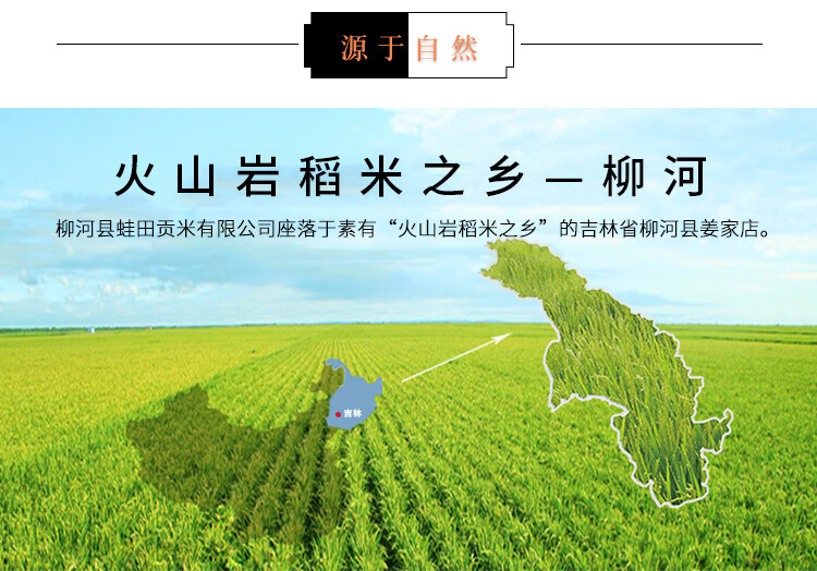 21新米纯正东北柳河姜家店绿色有机口感好稻花香蛙田贡米大米5kg2袋