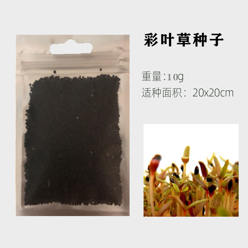 [京选推荐]鱼缸装饰速成水草种子迷你对叶牛毛爱情幸运心形草真植物