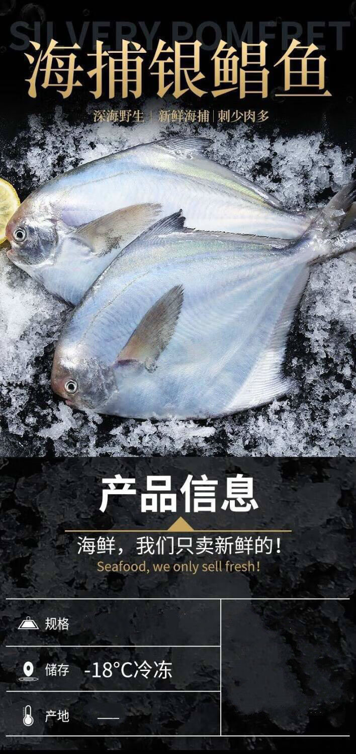 猫扑鱼舟山野生银鲳鱼白鲳鱼扁平鱼新鲜冷冻海鲜水产 小号6斤经济款(