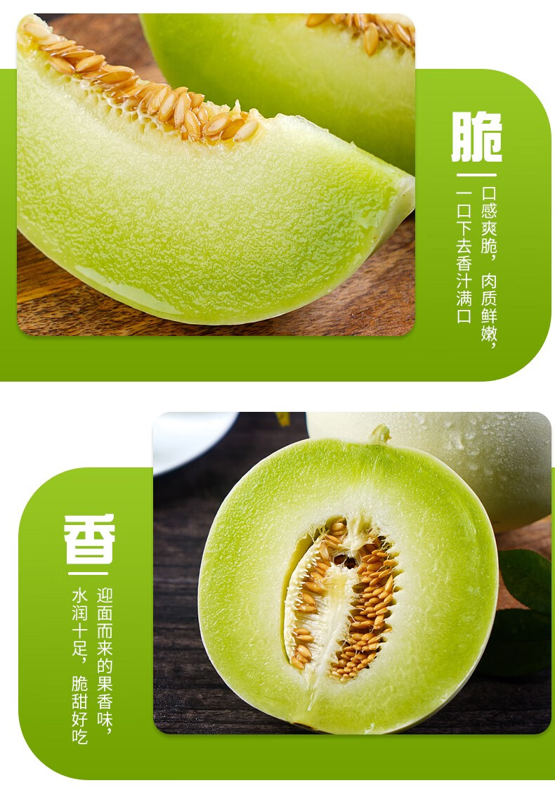 上海南汇玉菇甜瓜带箱10斤青皮绿肉蜜瓜产地直发当季新鲜水果带箱5斤