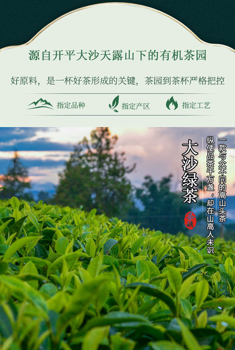 开平大沙绿茶开平特产一级金萱绿茶2022年新茶高香广东十大名茶单罐