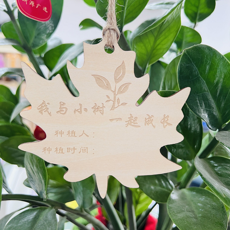 植树节挂牌10片定做木质挂牌学校植树节吊牌树木认养牌植物标签牌名字