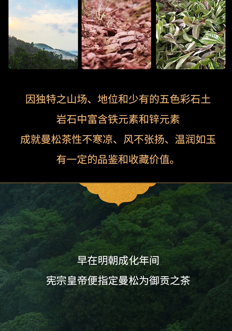 曼松金砖125g4砖盒曼松贡茶2020年曼松贡茶金砖普洱春茶生茶