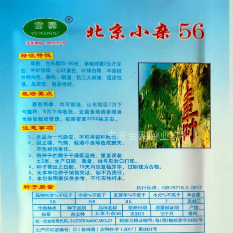 北京小杂56白菜种子黄心小白菜种籽包心菜卷心菜四季速生蔬菜小杂56