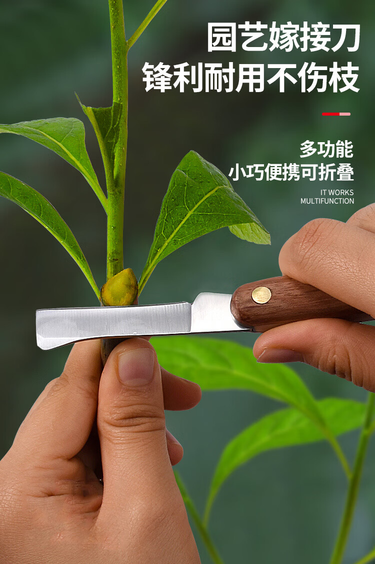 树剪嫁接刀果蔬植物嫁接园艺工具嫁接器花梨木柄削木接木芽接专用